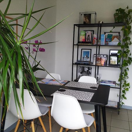 Charming Duplex With Terrace Historical City Center 阿爾勒 外观 照片