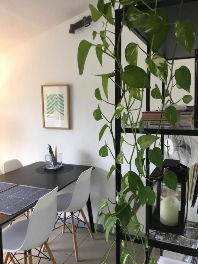 Charming Duplex With Terrace Historical City Center 阿爾勒 外观 照片